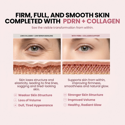 PDRN Collagen & Volufiline Balm